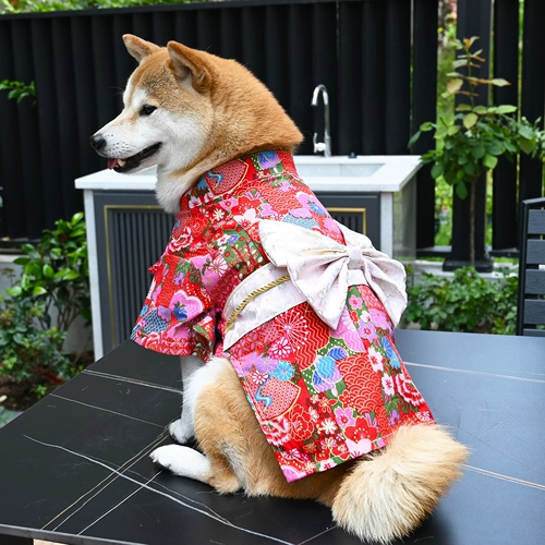 芮柴 Оригинальная домашняя домашняя собака одежда Corgi Schnauzer Shiba Inu Kimono Photography Photograph
