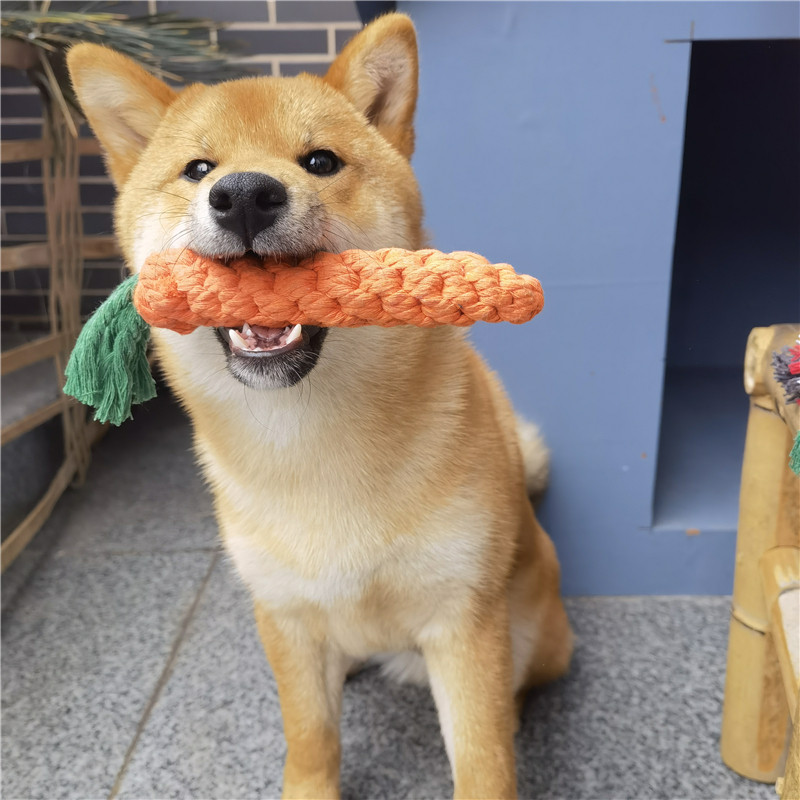 🐶超萌芮柴宠物狗狗胡萝卜绳结玩具，让爱宠爱上咀嚼新体验！🥕 -磨牙洁齿玩具/绳结玩具-淘宝好物网