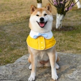 Шарф, нагрудник, милый плащ с бантиком