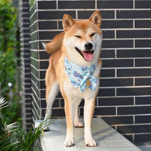 芮柴 Шаровая ошейник для любимой собаки и стиль трава трава лук -треугольник шарф Шарф Тедди Шиба Ину воротнич
