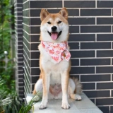 芮柴 Шаровая ошейник для любимой собаки и стиль трава трава лук -треугольник шарф Шарф Тедди Шиба Ину воротнич