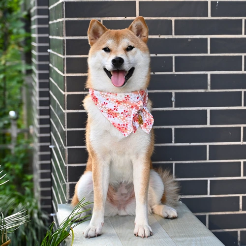 芮柴 Шаровая ошейник для любимой собаки и стиль трава трава лук -треугольник шарф Шарф Тедди Шиба Ину воротнич