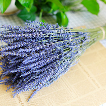 Xinjiang lavender dry bouquet natural dried flowers help sleep bedroom living room decoration real flower 2 bunch lavender dry flower