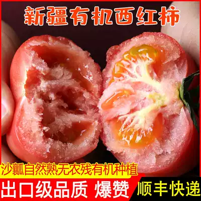 Xinjiang organic tomatoes, fresh, natural, cooked and eaten raw, sand flesh farm 5 fruit tomatoes, Provencal tomatoes