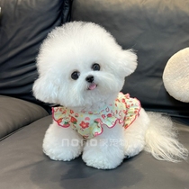 Bibear Puppy clothes Summer thin Huffg strawberry flying sleeves Pets Kitty Teddy Out Sunscreen