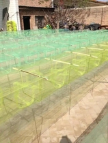 Baiyangdian 24 meters 24 pole shrimp cage shrimp net crab loach no knot screen window net with winged net super long enlarged net fishing net