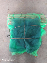 All green shrimp cage 24 rods 23 meters