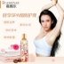 Jiamei Le Shea Rose Body Massage Oil Pushing Body Massage Massage đẩy lùi Meridian Care sữa tắm purite Điều trị cơ thể