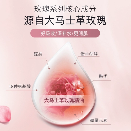 Масло с камелией с розой в составе, набор для ухода за кожей, тонер, молочко, увлажняющий питательный лосьон-крем для лица