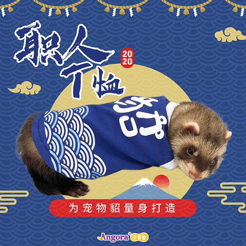 *Thin cartoon T-shirt*Angolu pet mink Xiaolong Mink Ma Xueer general cute breathable vest clothes