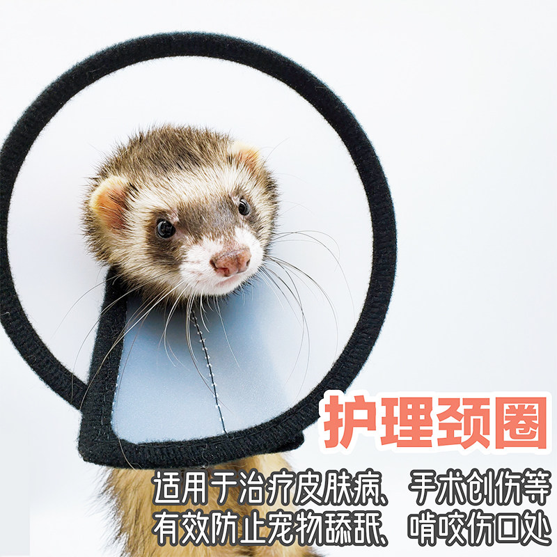 *Care neck ring*Elizabeth ring pet sak bite prevention anti-grab anti-licking anti-licking neck ferret beauty cover
