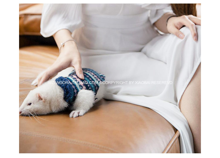 * 毛 领 * Thú cưng Anglu 貂 quần áo tuyết trang phục quần áo Xiaolong 貂 Angluma Xueer - Quần áo & phụ kiện thú cưng mũ cho mèo