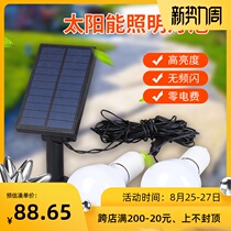  Solar garden lights Household indoor LED bulbs New rural outdoor waterproof lighting one for two night lights