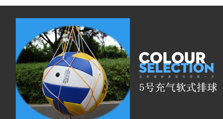 Ballon de volley-ball - Ref 2010500 Image 15