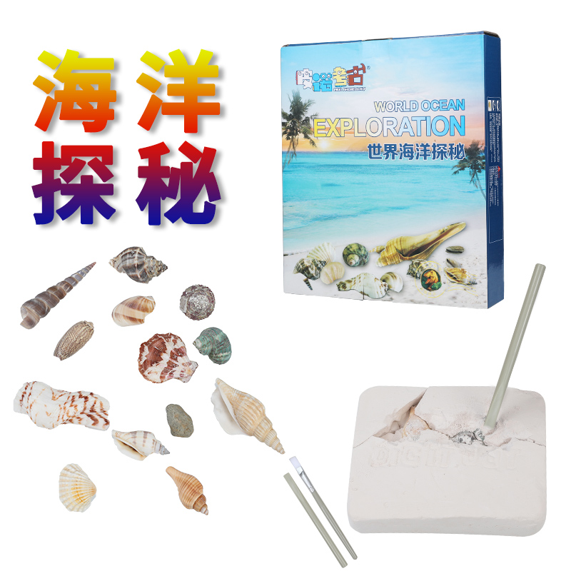 Pino Archaeological Excavation of Shell Ocean Exploration Archaeological Toys for Children Diy Archaeological Castel