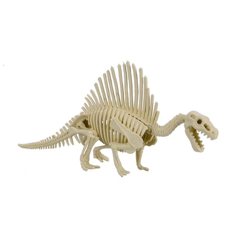 New archaeological creative DIY toys excavating dinosaur fossils to reproduce dinosaur skeleton model children's assembled toys