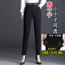 Small trousers womens spring and summer outer wear elastic micro-flared pants large size nine points small feet Harlan mother pants work pants