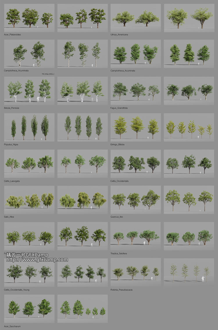 Blender花草大树木植物绿地风吹动态模型预设插件包 TerraScape Blender花草树木植物动态模型预设插件包 TerraScape