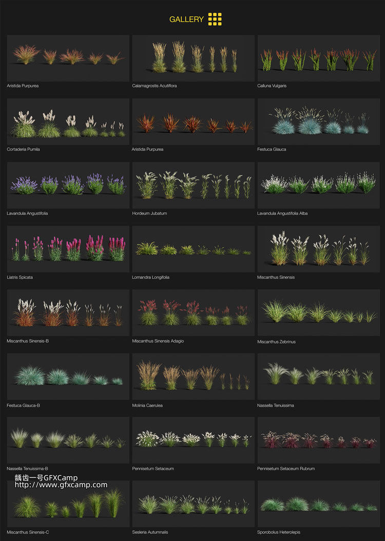 Blender花草大树木植物绿地风吹动态模型预设插件包 TerraScape Blender花草树木植物动态模型预设插件包 TerraScape