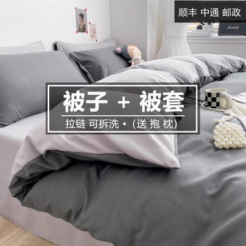 Quilt with Removable Duvet Cover, Integrated Detachable Double/Single Spring/Autumn Cotton Quilt, Thickened and Warm, All-Cotton Winter Quilt Core