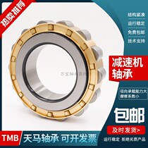 Tianma Reducer Ecclesiastical Bearing RN 203 204 205 206 307 308 309 312 219 M