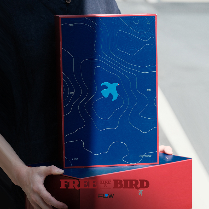 Flow Free Flying Bird Exploration Gift Box·Gift for Birthdays, Boys, Girls, Best Friends, Practical and High-End Resignation Gift