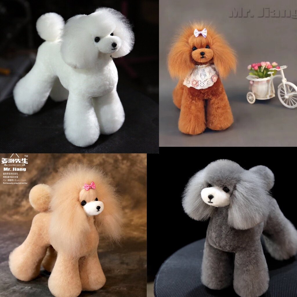 Jiang Hao pet beautician Japanese cute teddy ram modeling head practice fake hair model fake hair than bear
