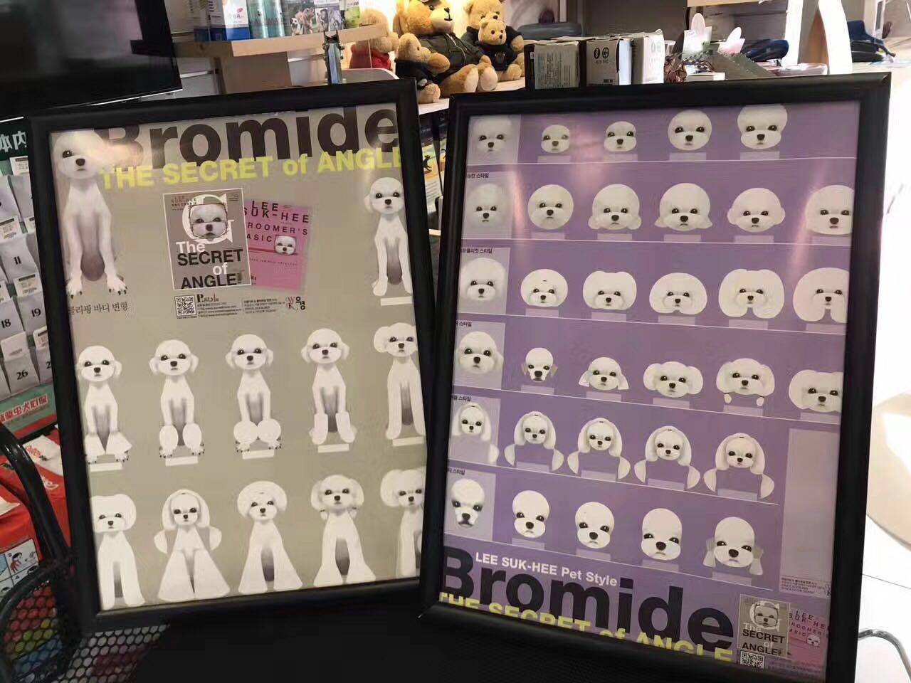 Pet Beauty Styling Poster Pet Styling Plots South Korea Styling Pet Poster Beauty Chart