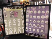 Pet beauty styling poster pet styling picture Korean styling picture pet poster beauty picture