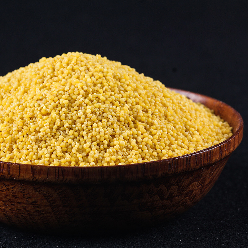 Zhengzong Inner Mongolia's Chifeng City Aohan Flag Organic HuangXiaomi Xinji Village 2500 Kbag