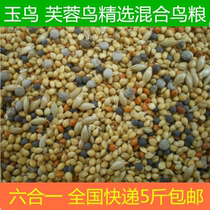 Jade Bird Bird Food Hibiscus Bird Food Hibiscus Bird Grain Mixed Birds Grain Cereals Rapeseed Su Subi 500 gr Ganali Yuzu