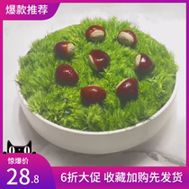 Creative cutting board chestnut mold Chestnut silicone mold Artistic dish setting cold dish mold Chocolate mold Cake baking