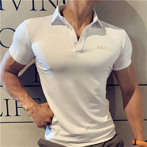 Quick-drying tights Fitness T-shirt mens short-sleeved slim fit casual running polo shirt Personal trainer work clothes