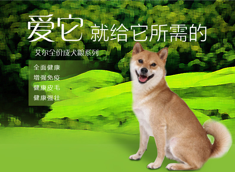 5 kg Aier dog thức ăn chính dành cho người lớn chính hãng thức ăn cho chó thức ăn cho chó Phá hủy số lượng lớn 500G loại phổ quát thức ăn cho chó zenith
