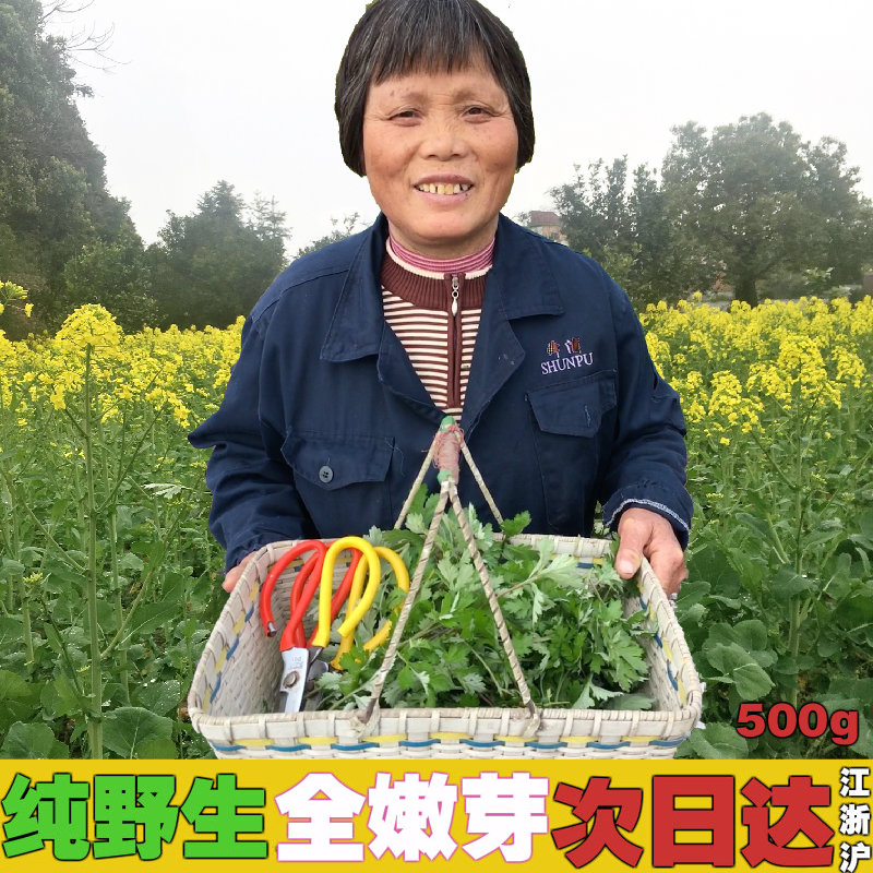 Wild fresh Wormwood group Qingming grass shoots are now picked and found to eat fresh Ai green edible fresh Ai leaf Youth League natural 500g