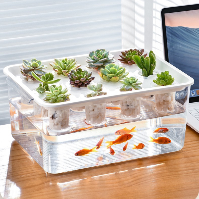 Scandinavian Transparent Hydroponic Basin, Office Flowers, Plants, Fish and Vegetables Coexisting on the Desktop, Micro-Landscape Ecological Tank, Gift for Children