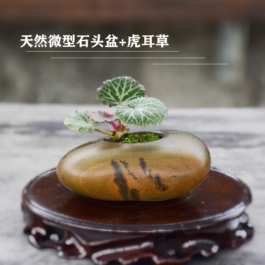 HE001 Natural stone pot micro - literate tea - tablet tiger stone flower pot green plant pot