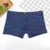 Quần lót nam Boxer Kapf Modal Cotton Mid-Eo Thanh niên Stretch Stretch Màu cotton thoáng khí Quần bốn dây nam quần lót nữ sinh Giữa eo