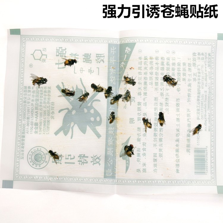 Powerful adhesive special effects fly stickers fly stickers Sticky Fly Cardboard Mosquito stickler Sticky Fly plate