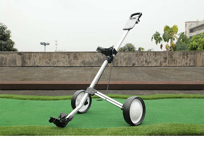 Sac de golf - Ref 37407 Image 12