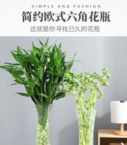 Large glass vase transparent hydroponic Lily rich bamboo vase living room household water-raising Flowers Vase ornaments