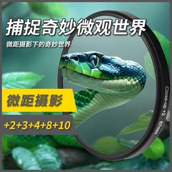 근접 매크로 사진 배율 필터