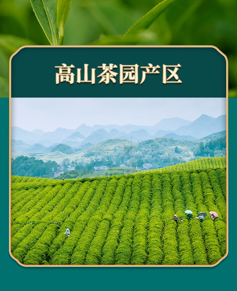 凤山茉莉花茶叶长条铁盒独立包装