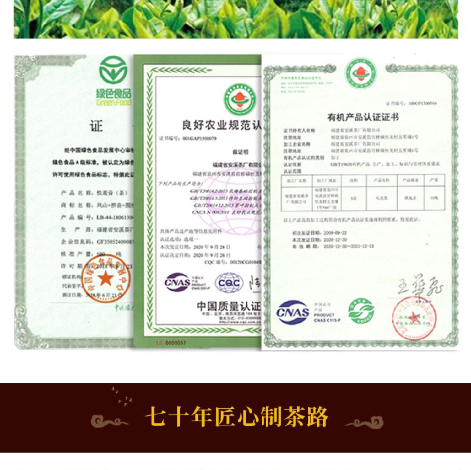 凤山经典铁罐散装凤山乌龙茶250g