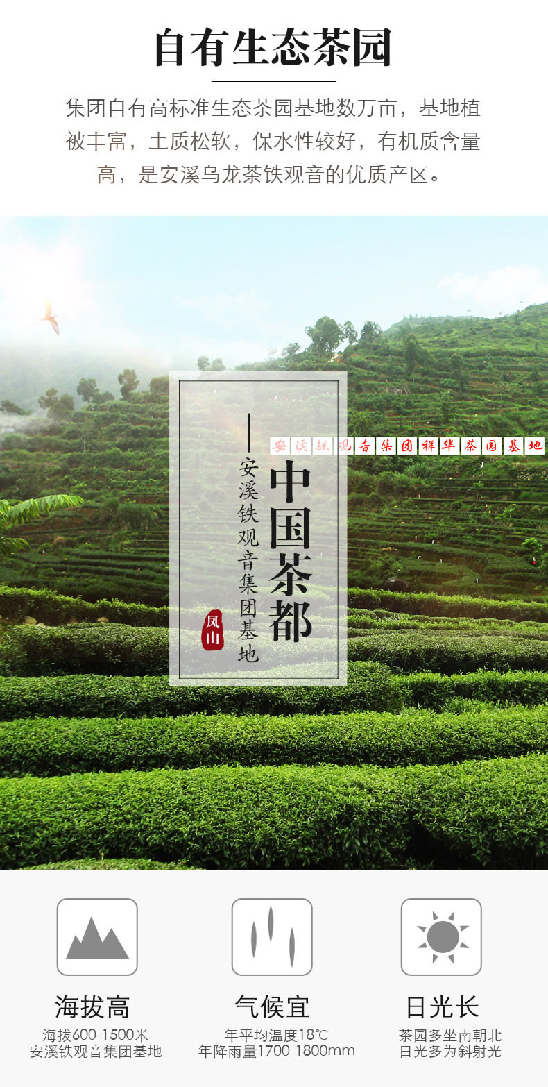 钓鱼台国宾馆供应商 凤山 安溪特级铁观音 250g 礼盒装 图4