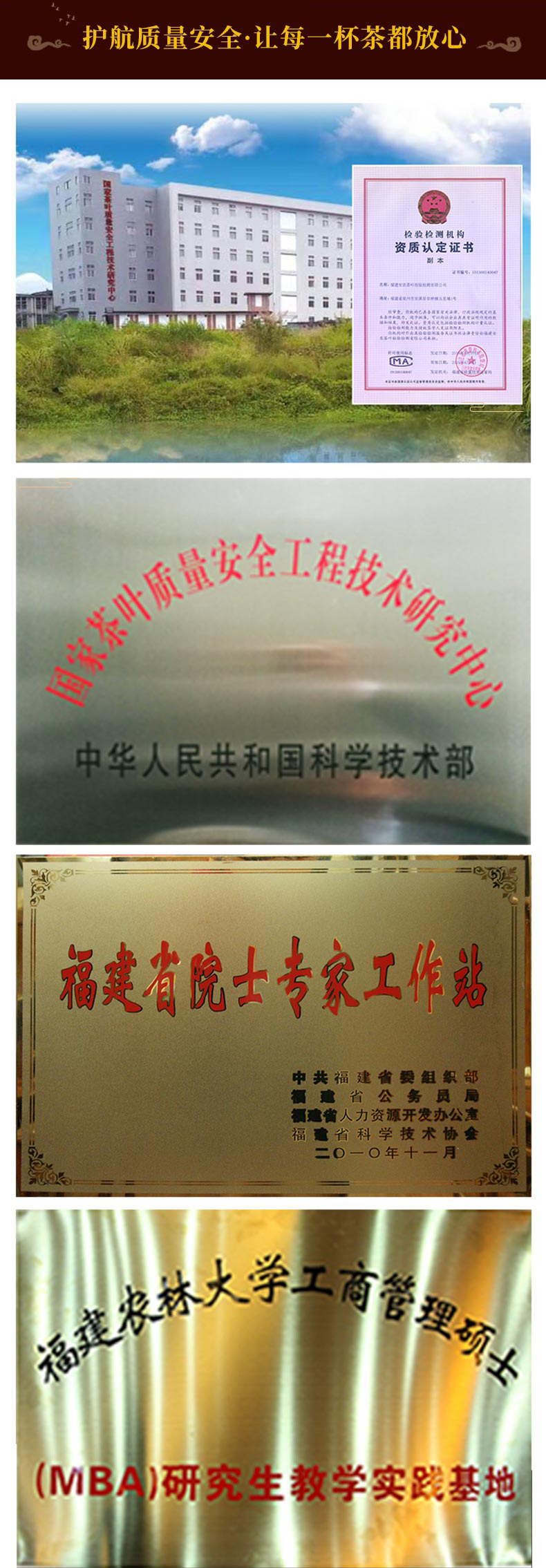 凤山 2021新品春茶 重焙乌龙茶 250g 图6