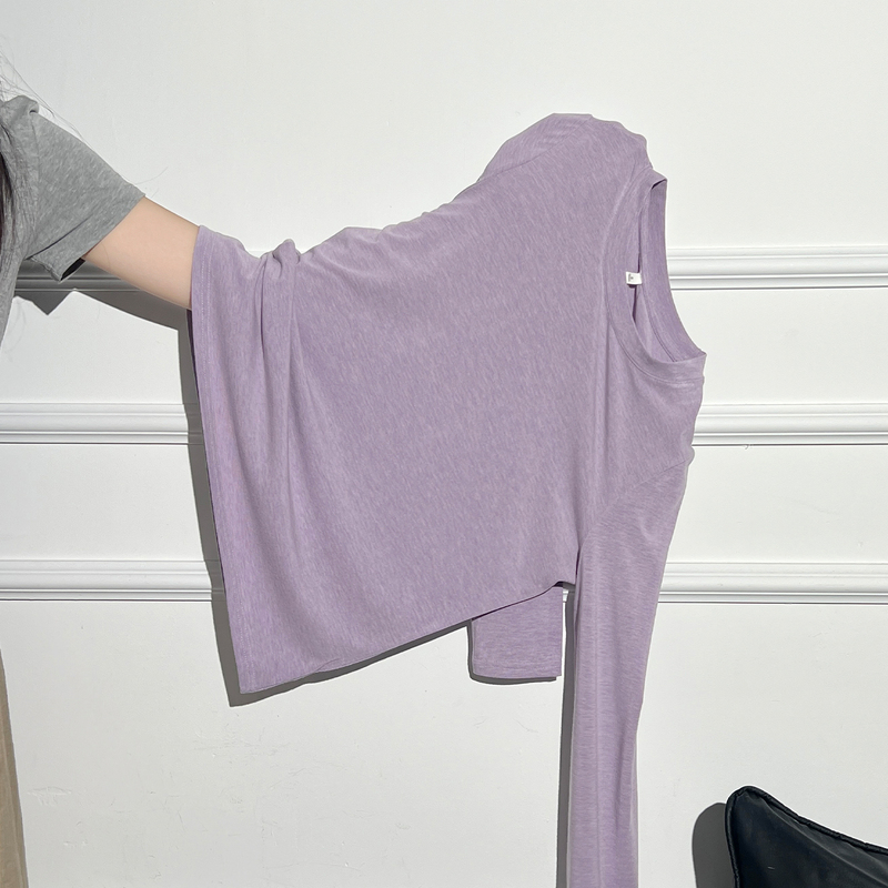 Chic and Beautiful Round-Neck, Regular Shoulder, Loose Long-Sleeve T-Shirt Top for Women, 2026 Autumn Casual Purple Base Shirt