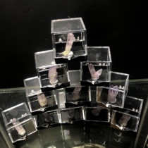 Geology teaching mineral specimen crystal rock natural mini Cruz amethyst 3cm box mine