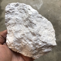 Teaching geological research mineral specimen crystal rock natural high-purity sepiolite rough stone 200 grams of gravel