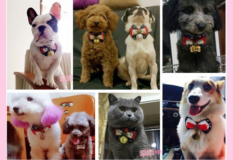 Chó tag chó tag chuông chó mèo cổ áo taidi vàng lông nơ vòng cổ kích thước chó cung - Cat / Dog hàng ngày Neccessities bình nước tự động cho chó